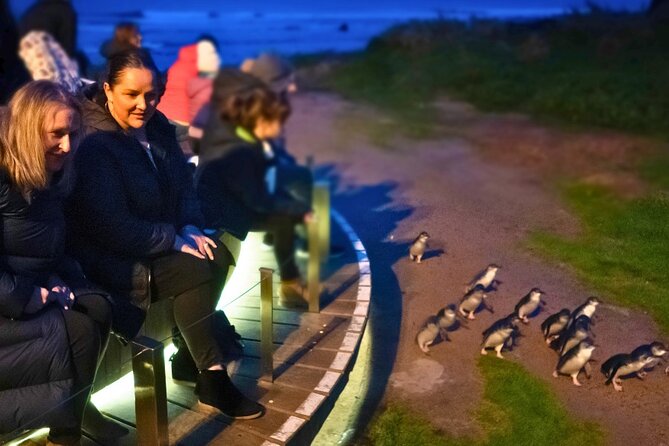 Phillip Island Penguin Parade Express Tour from Melbourne - The Nobbies Brings You to Phillip Island’s Wild Coast