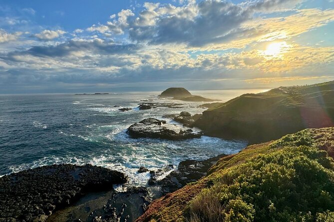 Phillip Island Penguin Parade Express Tour from Melbourne - General Viewing, Penguin Plus, and Your Seat