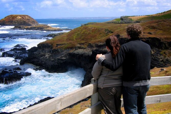 Phillip Island Penguin Parade Express Tour from Melbourne - Is $96.83 Good Value?