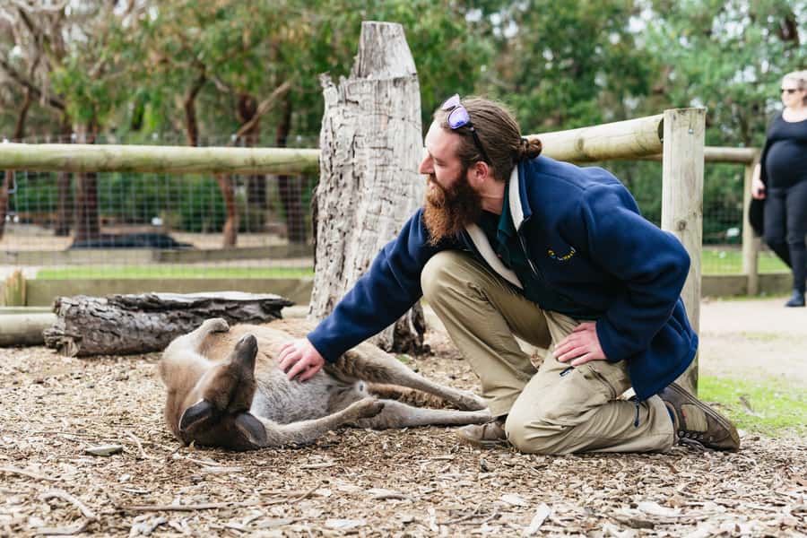 Phillip Island Penguin Parade with Expert Local Guide - Who will enjoy this tour most