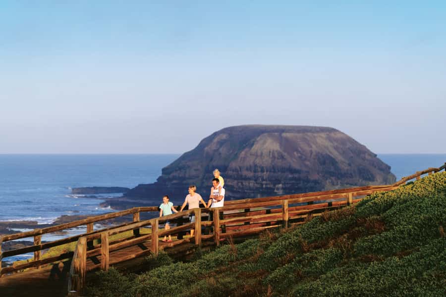 Phillip Island: Penguins and Wildlife Full-Day Tour - Koalas in the Phillip Island bush
