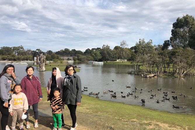 Phillip Island Penguins Private Adventure - The penguin parade is worth building the day around