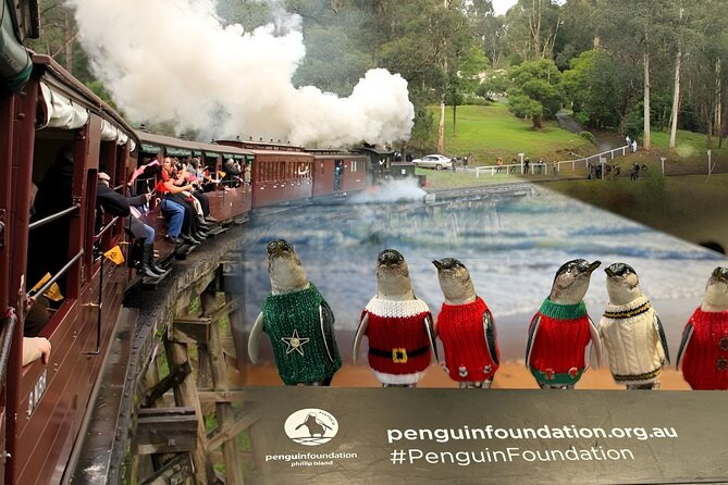 Phillip Island Penguins & Wildlife Day Tour from Melbourne - Who will enjoy this day most