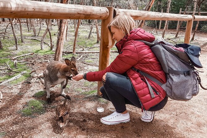 Phillip Island Penguins & Wildlife Day Tour from Melbourne - Cape Woolamai brings sand and surf