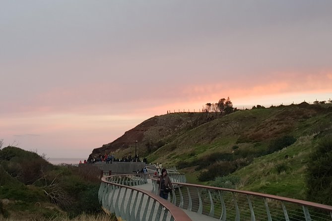 Phillip Island Private Experience - What the private price really buys you