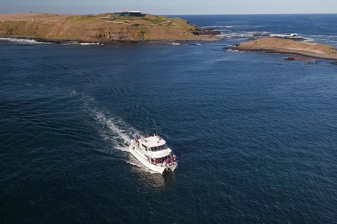 Phillip Island Seal-Watching Cruise - Seal Rocks and the Australian fur seal colony