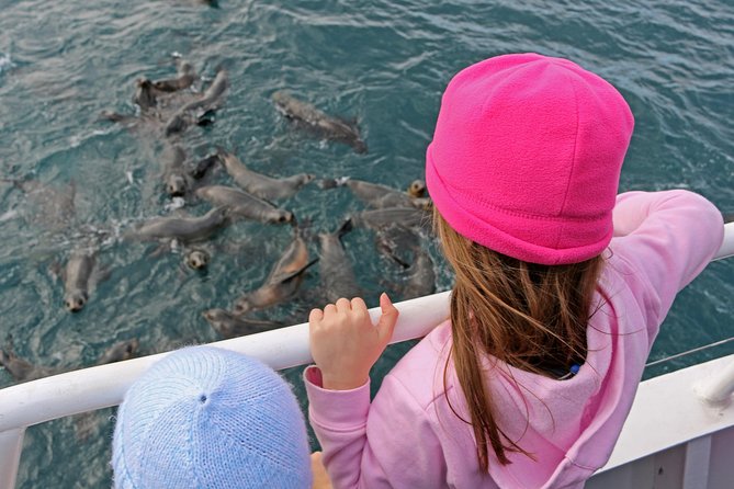 Phillip Island Seal-Watching Cruise - Afternoon tea on a two-hour catamaran cruise