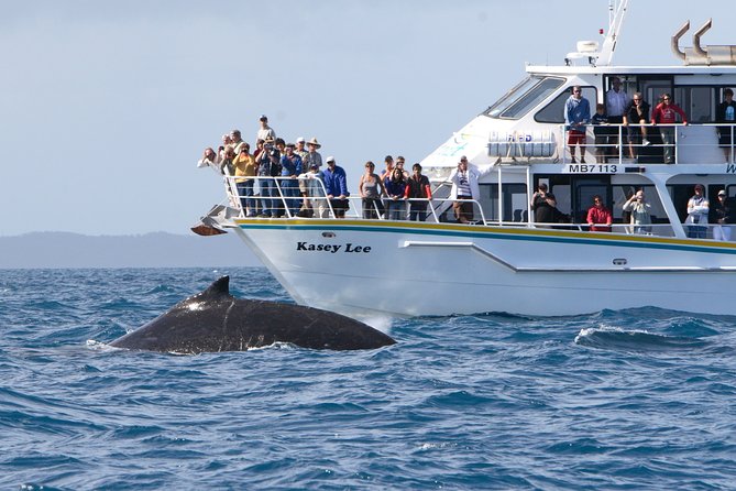 Phillip Island Seal-Watching Cruise - Is $82.48 good value?