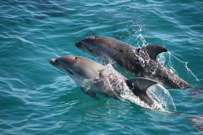 Phillip Island Sunset Cruise - Who will enjoy this cruise most