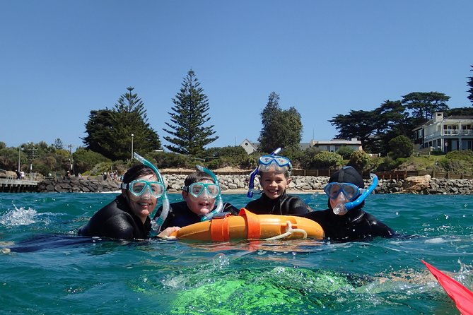 Port Phillip Bay Snorkeling with Sea Dragons - Why Port Phillip Bay is the right place to look