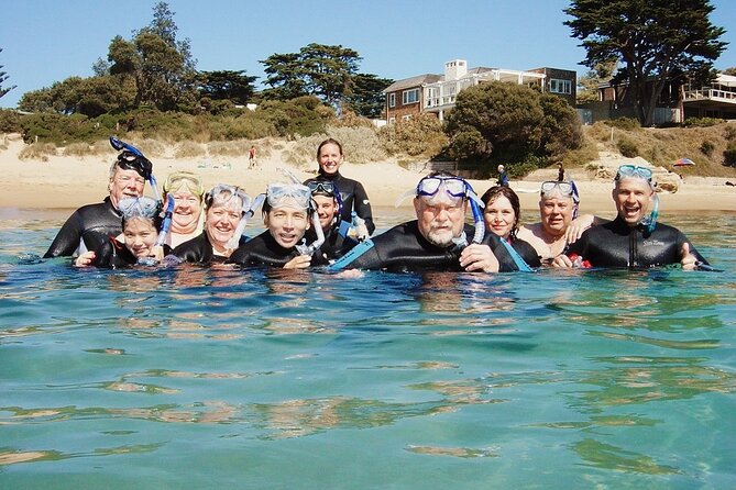 Port Phillip Bay Snorkeling with Sea Dragons - What the $86.07 price covers