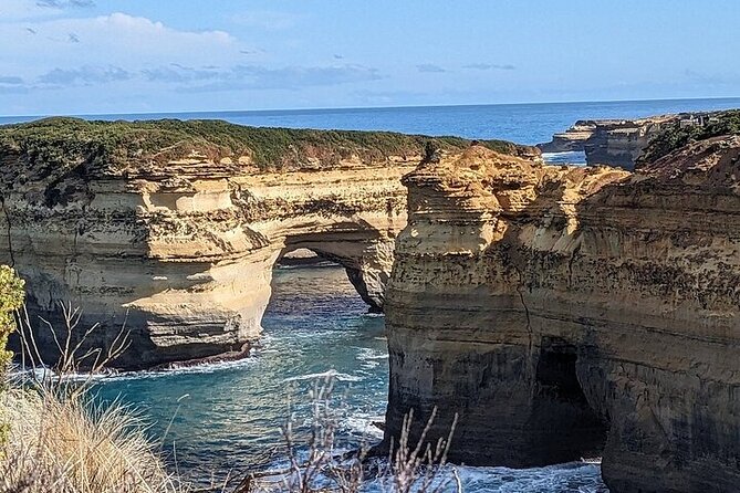 Premium Great Ocean Road Tour IN A Relaxed Way IN Premium Coach - Melba Gully brings in the rainforest