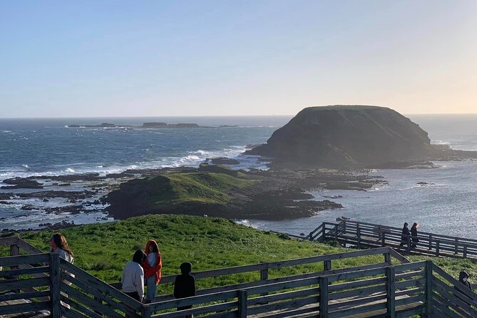 Premium Small Group Philip Island eco Tour - What the small-group format changes