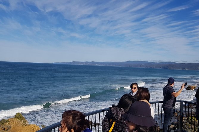 Private 12 Apostles Express Tour - Shorter - The Mercedes minivan and the long road south