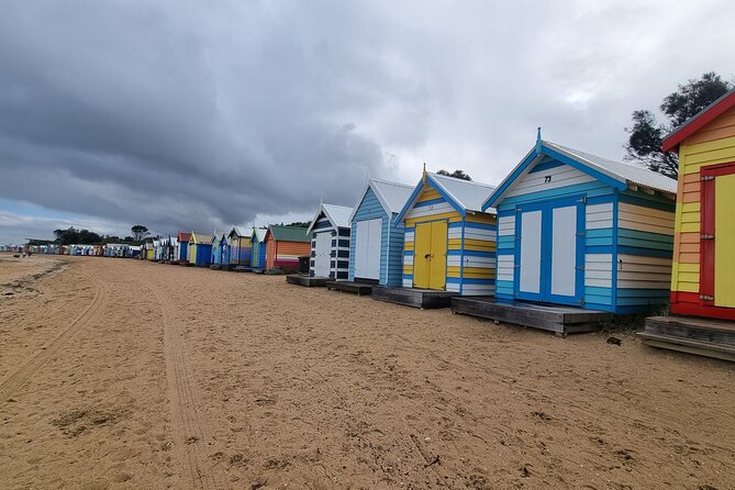 Private 12 Apostles Express Tour - Shorter - Lunch, comfort, and family needs