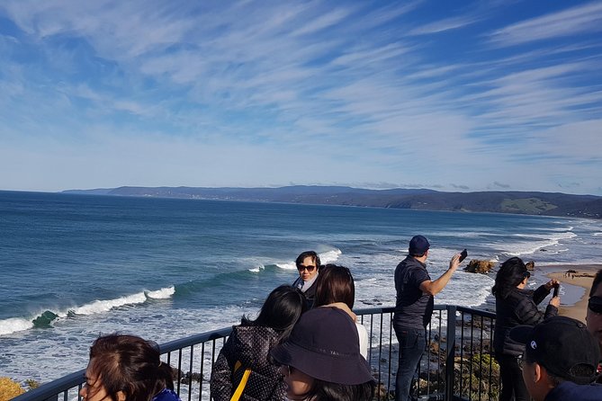 Private and Customised Great Ocean Road and Luxury Tour - Teddy’s Lookout and the sweep above Lorne