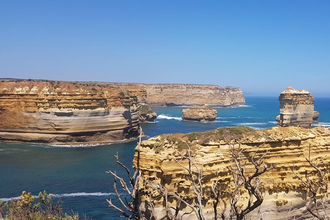 Private and Customised Great Ocean Road and Luxury Tour - The early start and long run toward the coast