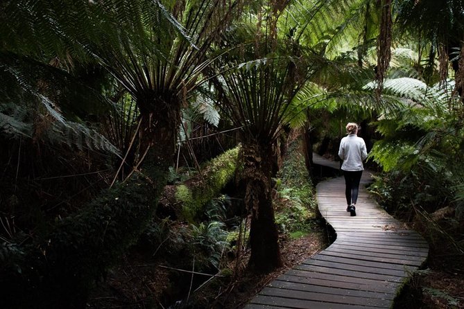 Private Bespoke Melbourne Walking Tour - Expert Local Guide - Melbourne Skydeck and the limits of a three-hour route