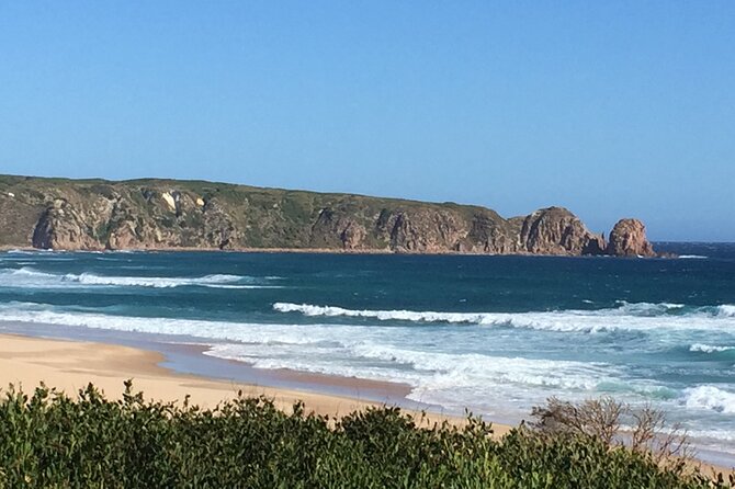 Private custom Tour of Phillip Island With Penguin Parade - Useful lessons from the guide service