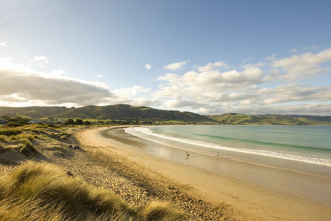 Private Great Ocean Road and Twelve Apostles Tour from Melbourne - Apollo Bay is the sensible food break