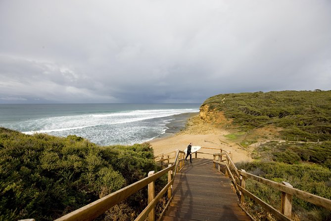 Private Great Ocean Road and Twelve Apostles Tour from Melbourne - What the private format is really worth