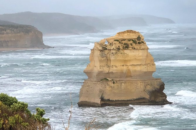 Private Great Ocean Road Local Experience - Melba Gully adds a rainforest walk