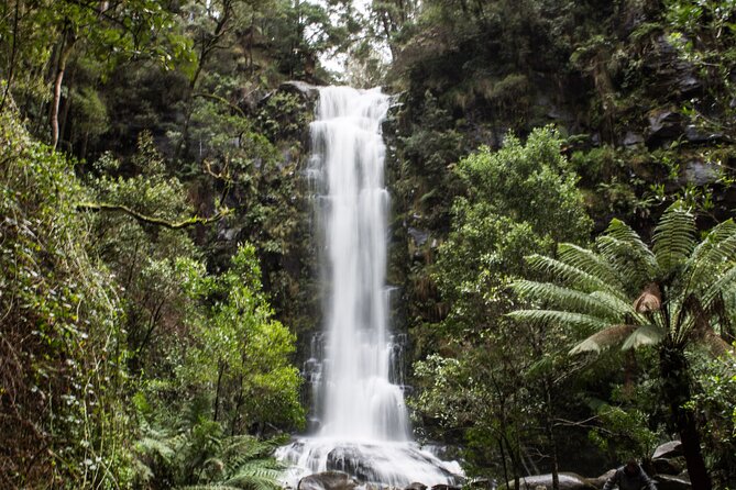 Private Great Ocean Road - The Ultimate Aussie Adventure - 8:00 am start and the road west from Melbourne