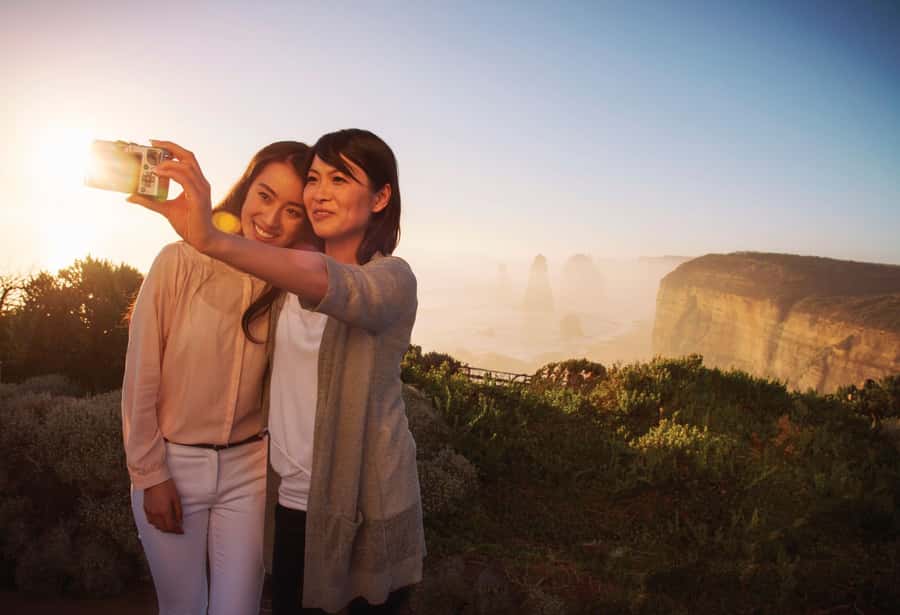 Private Great Ocean Road Tour - Kennett River for koalas and native birds