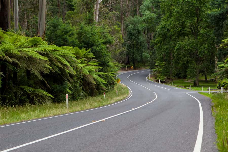 Private Great Ocean Road Tour - What the private format is worth