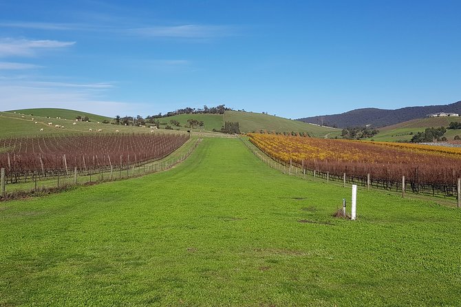 Private, Luxury and Tailored Yarra Valley Wine Tour - Key points to know
