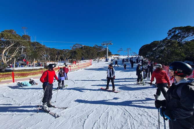 Private Mount Buller Snow and Ski Tour from Melbourne - What the private format changes