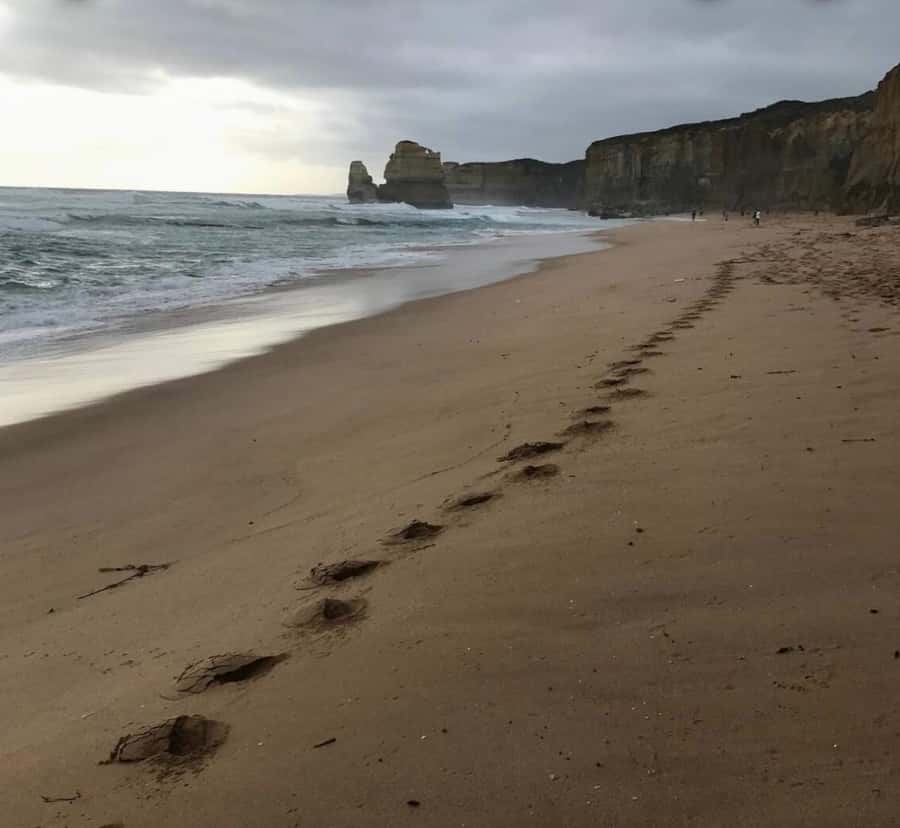 Private Tour: Great Ocean Road - Twelve Apostles - What to budget and what to bring