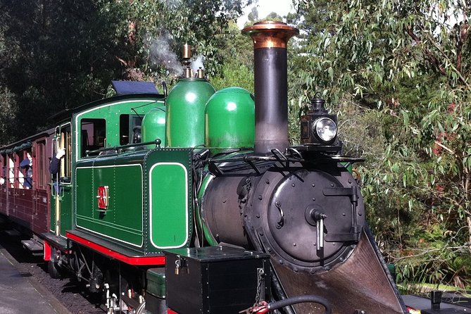 [Private Tour] Healesville Sanctuary Wildlife & Puffing Billy Steam Train - Who will get the most from this outing