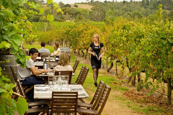 [PRIVATE TOUR] Mornington Peninsula Hot Springs | Winery & Sightseeing Tour - Leaving Melbourne for boutique wine country