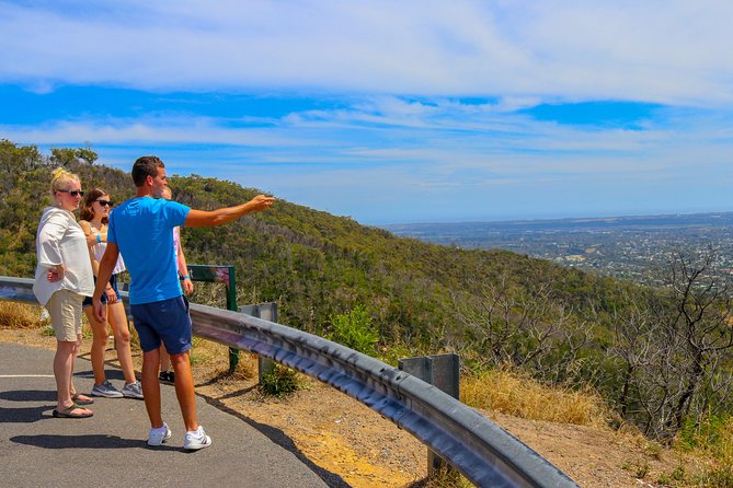 [PRIVATE TOUR] Mornington Peninsula Hot Springs | Winery & Sightseeing Tour - What the private format adds