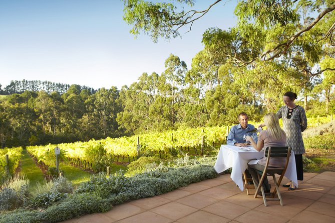 [PRIVATE TOUR] Mornington Peninsula Hot Springs | Winery & Sightseeing Tour - Timing, comfort, and practical details