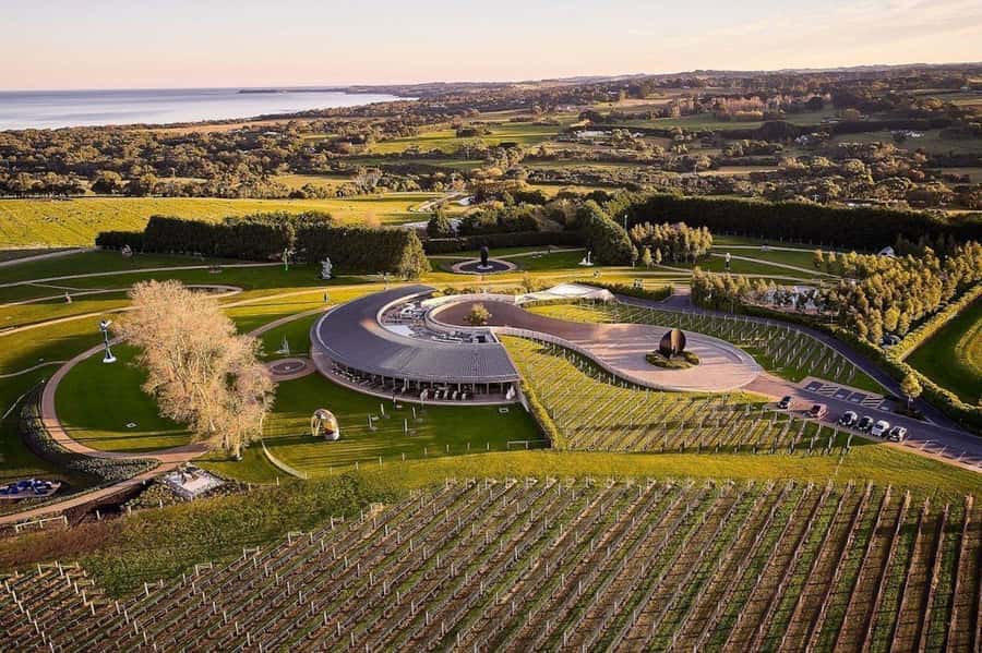 Private Tour: Mornington Peninsula Wine, Beer & Hotsprings - Why the private format works so well