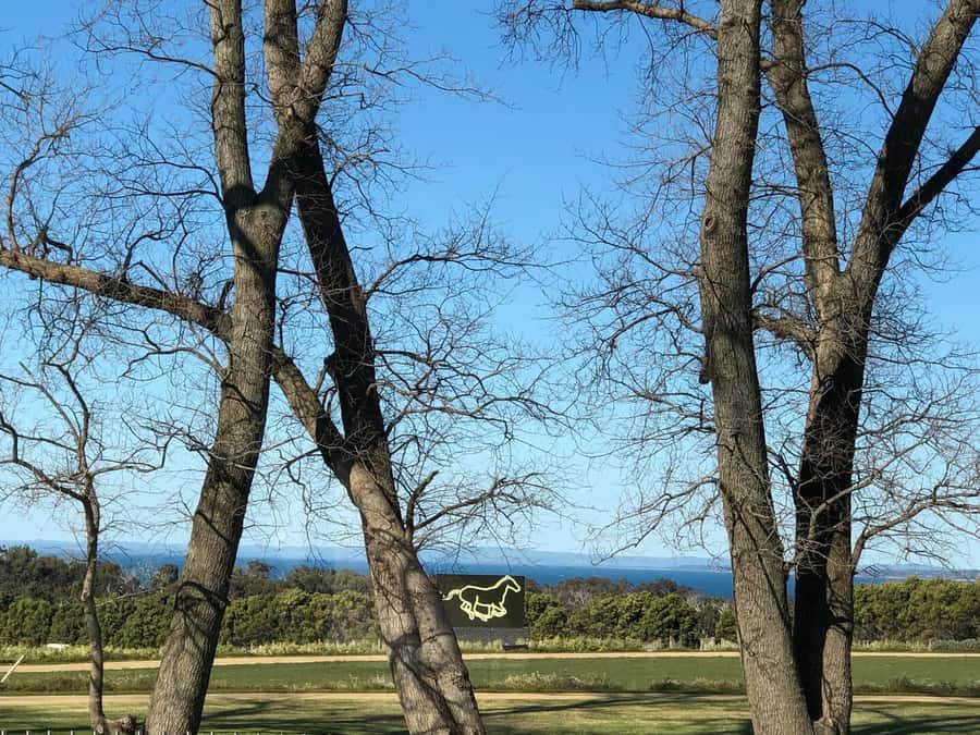 Private Tour: Mornington Peninsula Wine, Beer & Hotsprings - Arthur’s Seat and the big Mornington Peninsula view