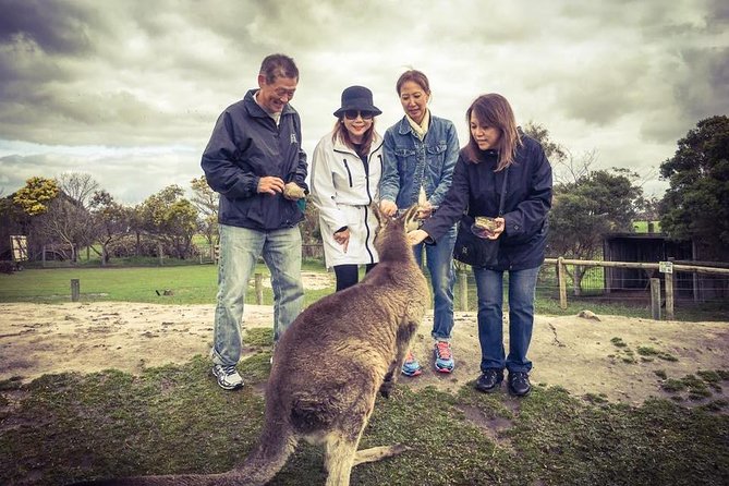 [Private Tour] “Penguin Parade” Phillip Island Tour. - Seal Rock offers a coastal break