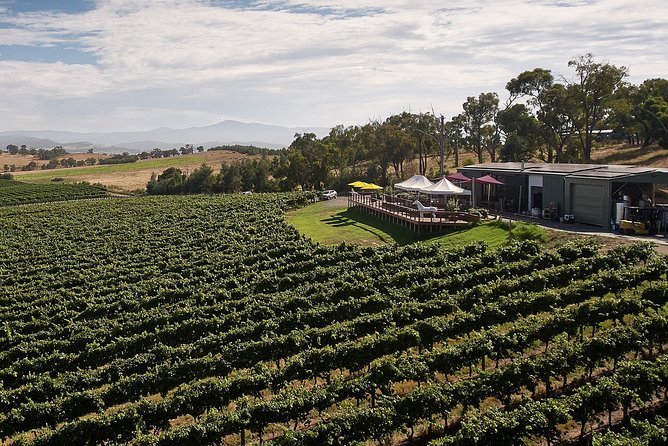 Private Tour: Yarra Valley Wineries with Wine Tastings - Who will get the most from this tour