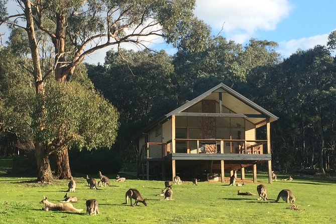 [PRIVATE TOUR] Yarra Valley Winery | Day Tour - Four Pillars for a gin-focused change of pace