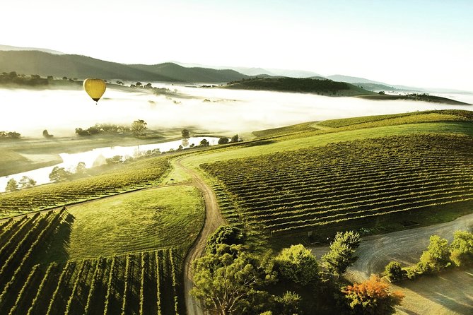 [PRIVATE TOUR] Yarra Valley Winery | Day Tour - Lunch choices, from picnic to proper meal