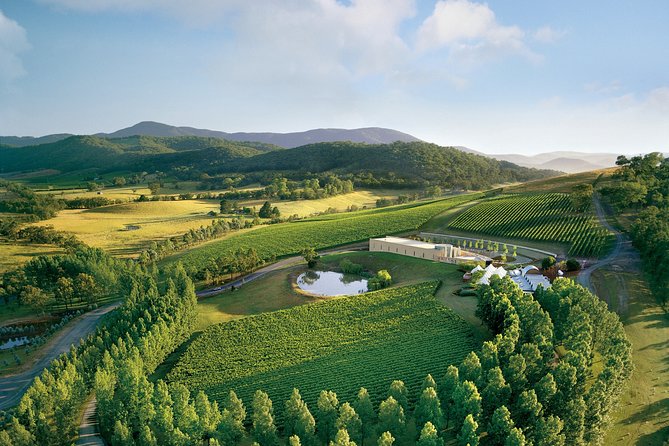 [PRIVATE TOUR] Yarra Valley Winery | Day Tour - What the $860.69 group price really means