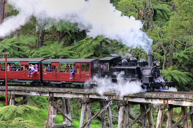 Puffing Billy And Healesville Sanctuary Scenic Tour - Why Puffing Billy makes this day different
