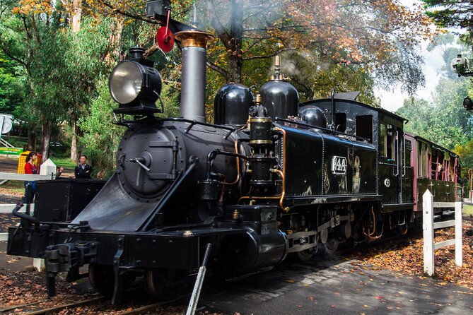 Puffing Billy And Healesville Sanctuary Scenic Tour - Emerald Lake gives you room to breathe
