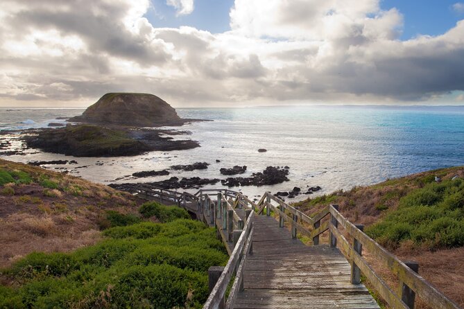 Puffing Billy And Phillip Island Penguin Parade Bus Tour - Guides can make or break the day