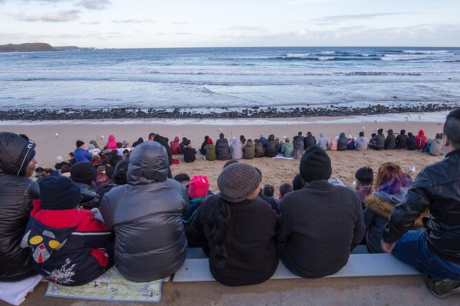 Puffing Billy And Phillip Island Penguin Parade Bus Tour - Who will enjoy this most