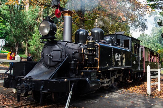 Puffing Billy And Phillip Island Penguin Parade Bus Tour - A long transfer to Phillip Island