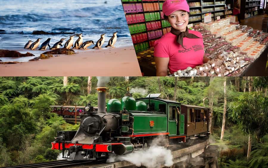 Puffing Billy Penguin Parade Winery Chocolaterie All-in-One - One day, three very different Victorian experiences