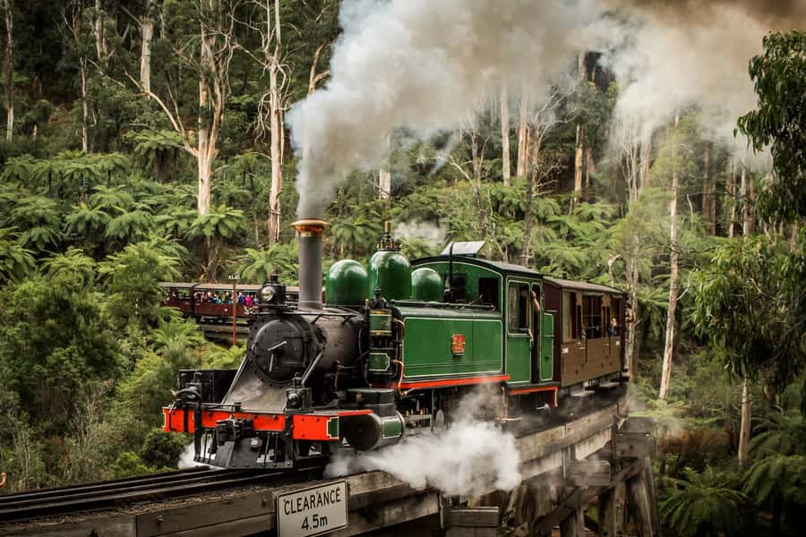 Puffing Billy Penguin Parade Winery Chocolaterie All-in-One - Wine country at Rochford Wines